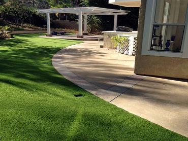 Artificial Grass Photos: Artificial Pet Grass Costa Mesa California Landscape, Lawns